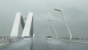 منخفض العزم